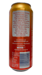Additional view of Rubicon Raw Orange & Mango PMP £1.29 (2 of 4)