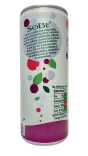 Additional view of SoBe Naturally Energising Fruity Appleberry Burst (3 of 3)