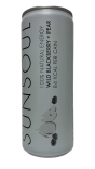 Additional view of SunSoul Natural Energy Wild Blackberry + Pear (2 of 5)